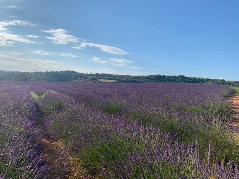 Cote Verdon * Quinson